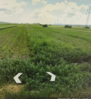 Vand teren extravilan în com. Mihaesti, Vâlcea 2534 mp - imagine 2