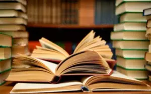 Meditatii   Cursuri de limba engleza    franceza