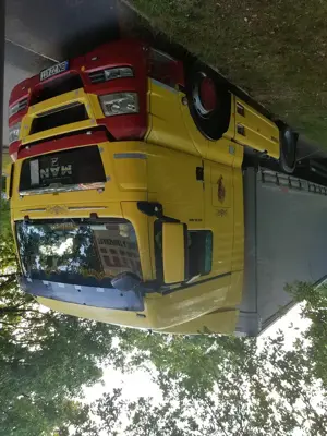 MAN Tgx 480  - imagine 2