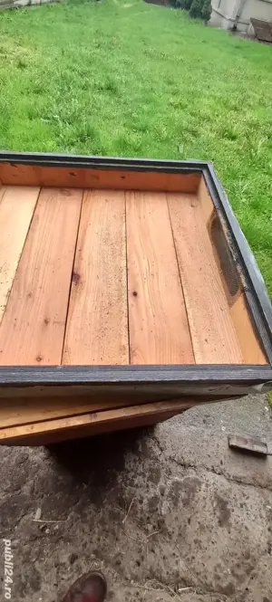 Lazi albine verticale  - imagine 3