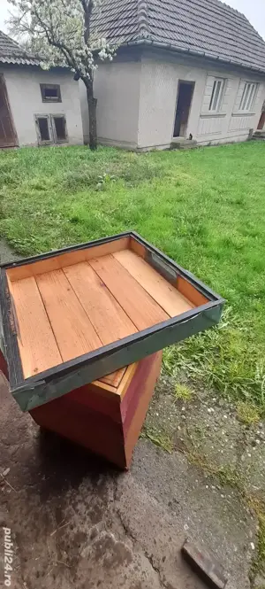 Lazi albine verticale  - imagine 5