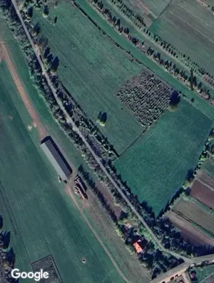 Teren cu casă  - imagine 4