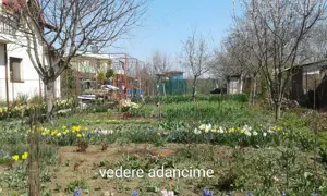 Teren casa com. Frumusani - imagine 3