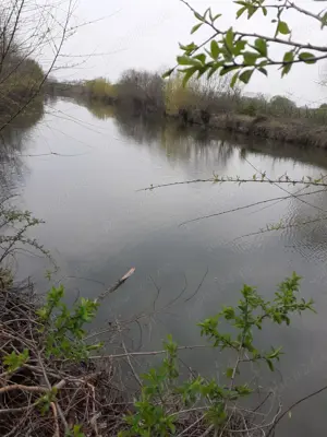 Teren cu balta de pescuit - imagine 3