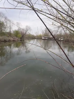 Teren cu balta de pescuit - imagine 6