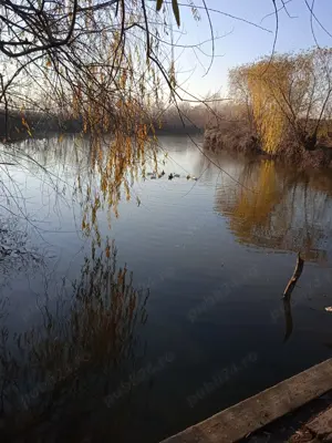 Teren cu balta de pescuit - imagine 7