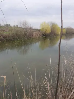 Teren cu balta de pescuit - imagine 4