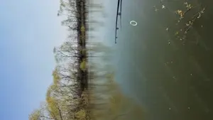 Teren cu balta de pescuit - imagine 2