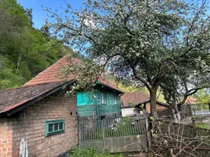 Casa traditionala momarlaneasca de lemn si teren intravilan, Petrosani, Valea Jiu  la 3 km de centru - imagine 11
