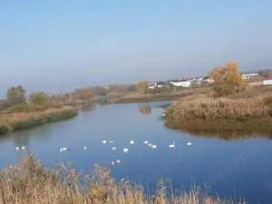 Casa pe malul lacului - imagine 4