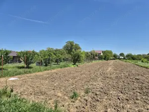 Teren intravilan 2658 mp - 1 Decembrie, Ilfov - imagine 4