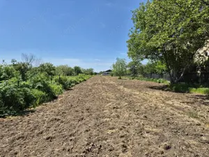 Teren intravilan 2658 mp - 1 Decembrie, Ilfov - imagine 2