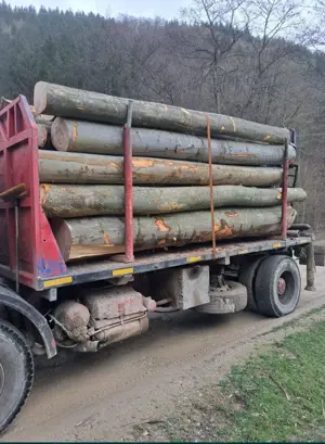 Camion forestier de vanzare - imagine 5 Camion forestier de vanzare - imagine 5