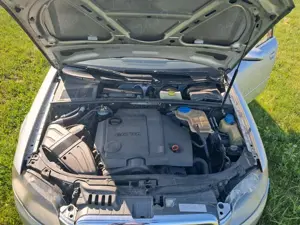 Vand Audi A4 B7, 2.0TDI - imagine 3