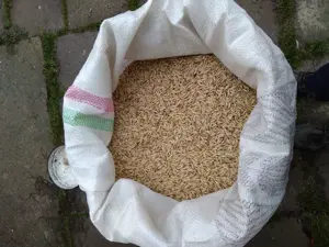Porumb triticale orz grau floarea soarelui, faina, pasat cu transport - imagine 4