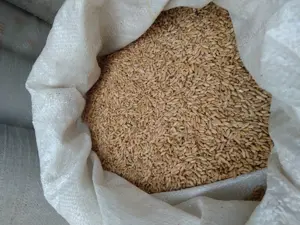 Porumb triticale orz grau floarea soarelui, faina, pasat cu transport - imagine 3