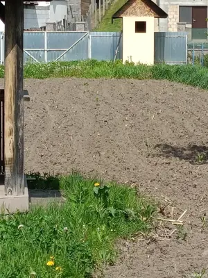 vand loc de casa - imagine 3