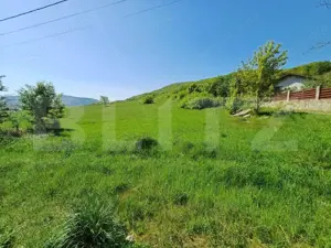 Teren intravilan de vanzare, 5000 mp, zona Viisoara, langa Metaller