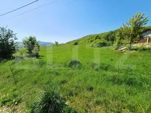 Teren intravilan de vanzare, 5000 mp, zona Viisoara, langa Metaller - imagine 2