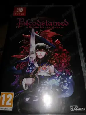 Bloodstained: Ritual of the Night (Nintendo Switch)