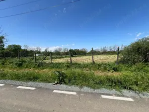 Teren intre case la 50 km de Bucuresti. Deschidere 22 m la strada asfaltata. 1422 MP 13.000 EUR