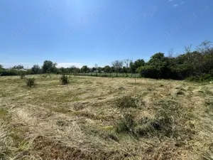 Teren intre case la 50 km de Bucuresti. Deschidere 22 m la strada asfaltata. 1422 MP 13.000 EUR - imagine 10