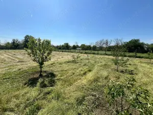 Teren intre case la 50 km de Bucuresti. Deschidere 22 m la strada asfaltata. 1422 MP 13.000 EUR - imagine 7