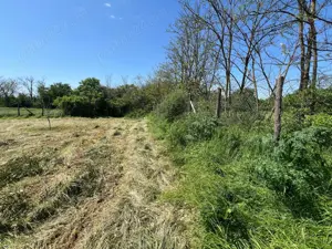 Teren intre case la 50 km de Bucuresti. Deschidere 22 m la strada asfaltata. 1422 MP 13.000 EUR - imagine 5