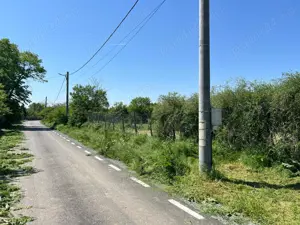 Teren intre case la 50 km de Bucuresti. Deschidere 22 m la strada asfaltata. 1422 MP 13.000 EUR - imagine 8