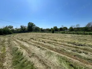 Teren intre case la 50 km de Bucuresti. Deschidere 22 m la strada asfaltata. 1422 MP 13.000 EUR - imagine 3