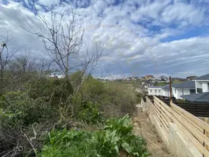 Teren intravilan 1.577 mp in Geamana, Bradu - imagine 6