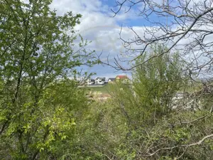 Teren intravilan 1.577 mp in Geamana, Bradu - imagine 5