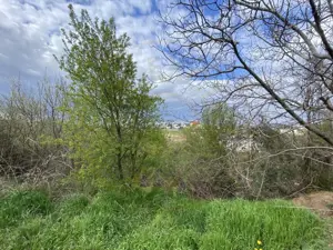 Teren intravilan 1.577 mp in Geamana, Bradu - imagine 4