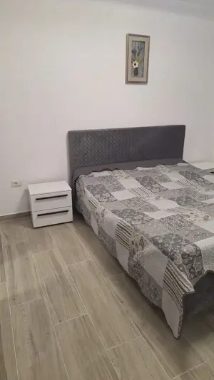 Ofer spre inchiriere Casa noua in Horia ,600 euro  - imagine 4