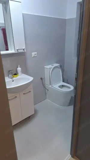 Ofer spre inchiriere Casa noua in Horia ,600 euro  - imagine 12