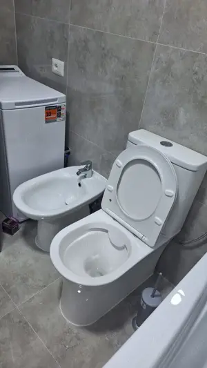 Ofer spre inchiriere Casa noua in Horia ,600 euro  - imagine 8