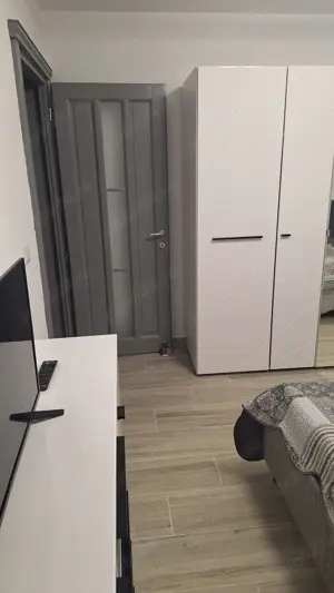 Ofer spre inchiriere Casa noua in Horia ,600 euro  - imagine 15