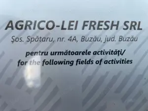 Angajam muncitori necalificati in constructii.