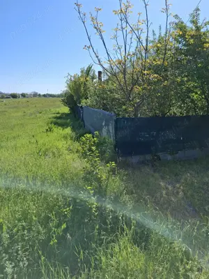 Vând teren Smeura Arges - imagine 7