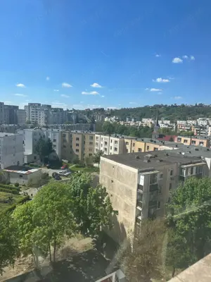 Tudor - Vanzare apartament 2 camere - Str. Infratirii - imagine 10