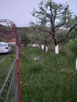 Casa Bezdead, Dambovita  - imagine 3 Casa Bezdead, Dambovita  - imagine 3