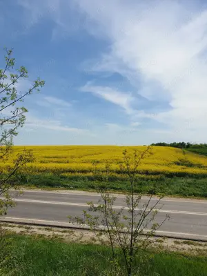 Teren 32.400 mp cu deschidere la E70   zonă strategică, Ghimpați, Giurgiu - imagine 2