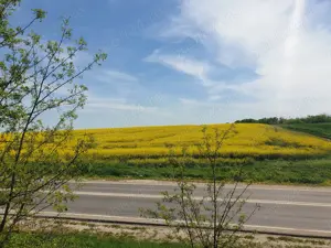 Teren 32.400 mp cu deschidere la E70   zonă strategică, Ghimpați, Giurgiu - imagine 6