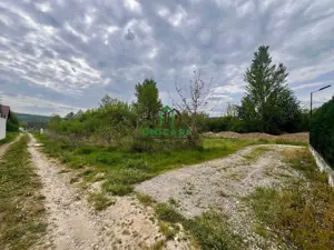 Teren Bujoreni/494 mp/Intravilan - imagine 3