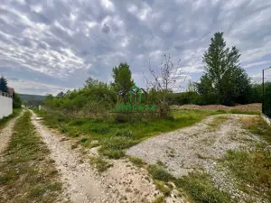 Teren Bujoreni/494 mp/Intravilan - imagine 5