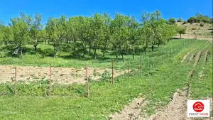 Teren Parcela 1900 mp intravilan Iclozel Iclod - imagine 2