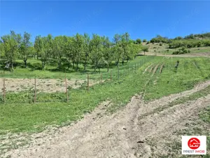 Teren Parcela 1900 mp intravilan Iclozel Iclod - imagine 5