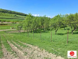 Teren Parcela 1900 mp intravilan Iclozel Iclod - imagine 4