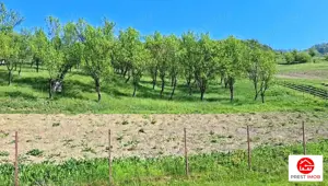 Teren Parcela 1900 mp intravilan Iclozel Iclod - imagine 3