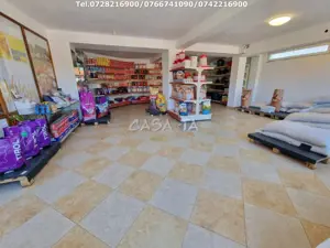 Închiriere spatiu comercial, în Dragoeni